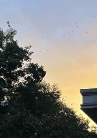 什么东西才能分解成齿轮